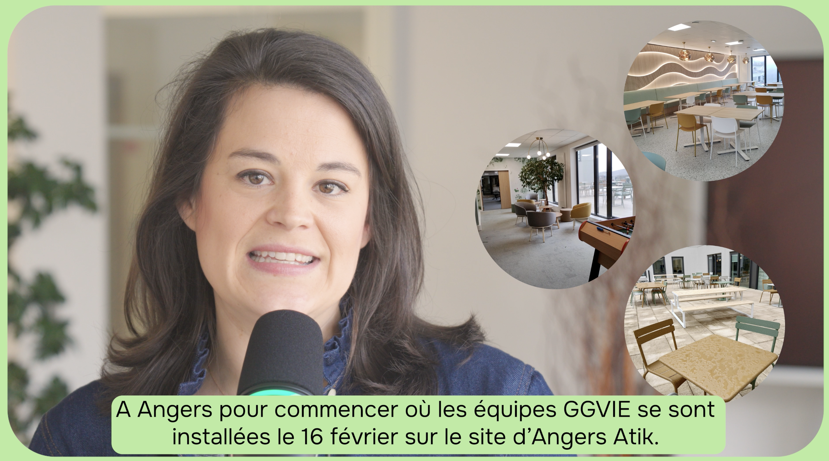 Motion design — mise en forme des informations dans What's Up